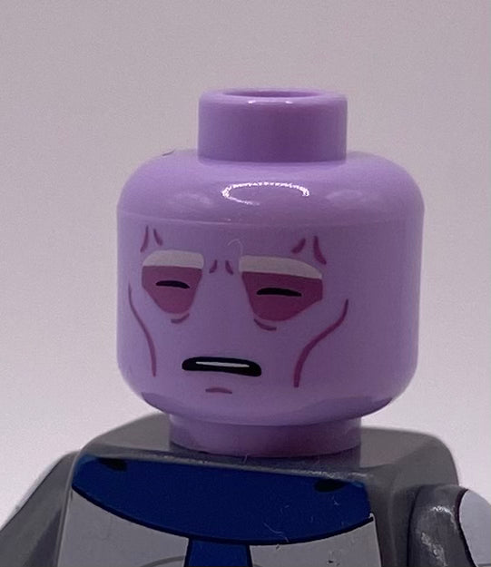 TBW x SKB - Shadow Warrior Alt Dual Expression Head