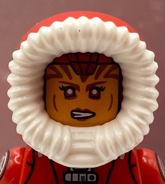 HGF - Wayward Warrior Christmas Alt