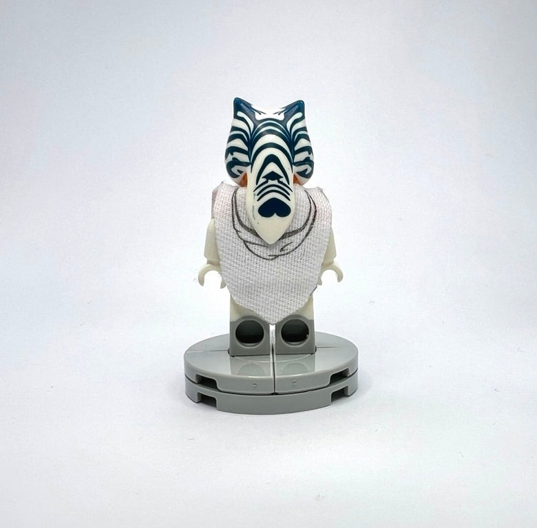 TBW - Ahsoka Poncho